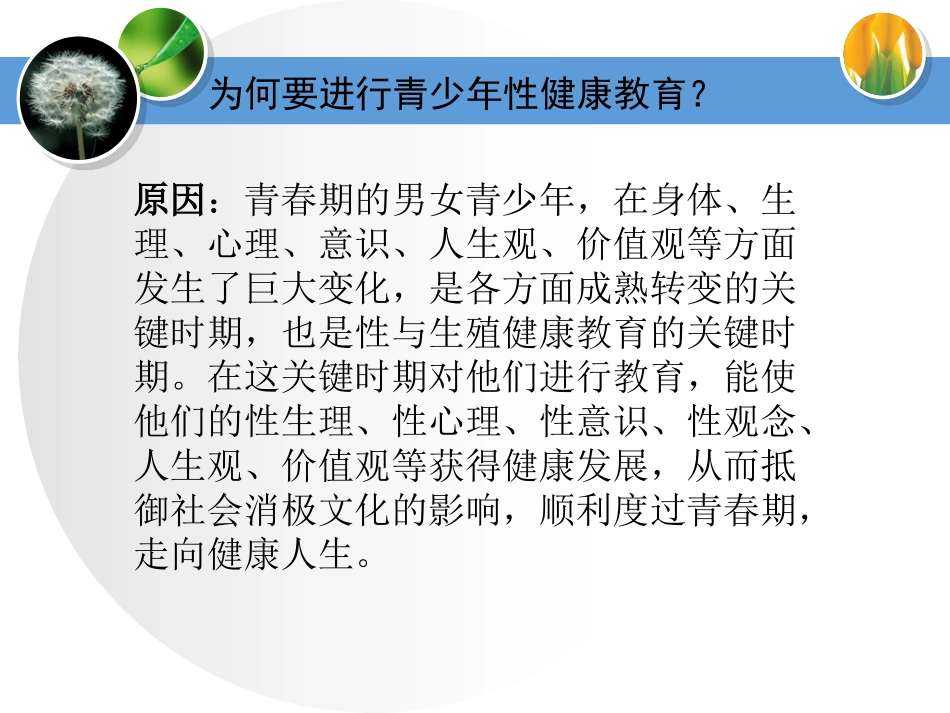 青少年性健康教育_第3页