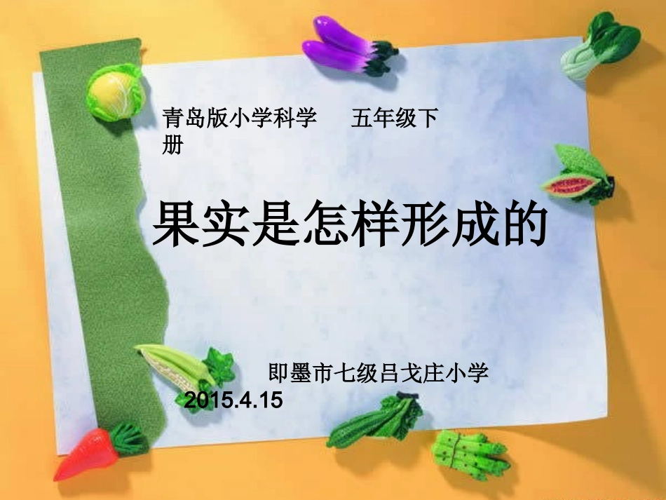 青岛版五年级科学下册13.果实是怎样形成的PPT_第1页