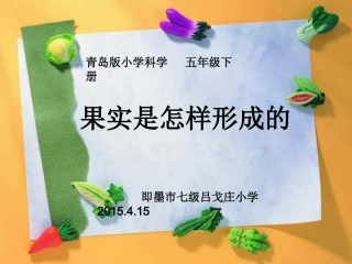 青岛版五年级科学下册13.果实是怎样形成的PPT
