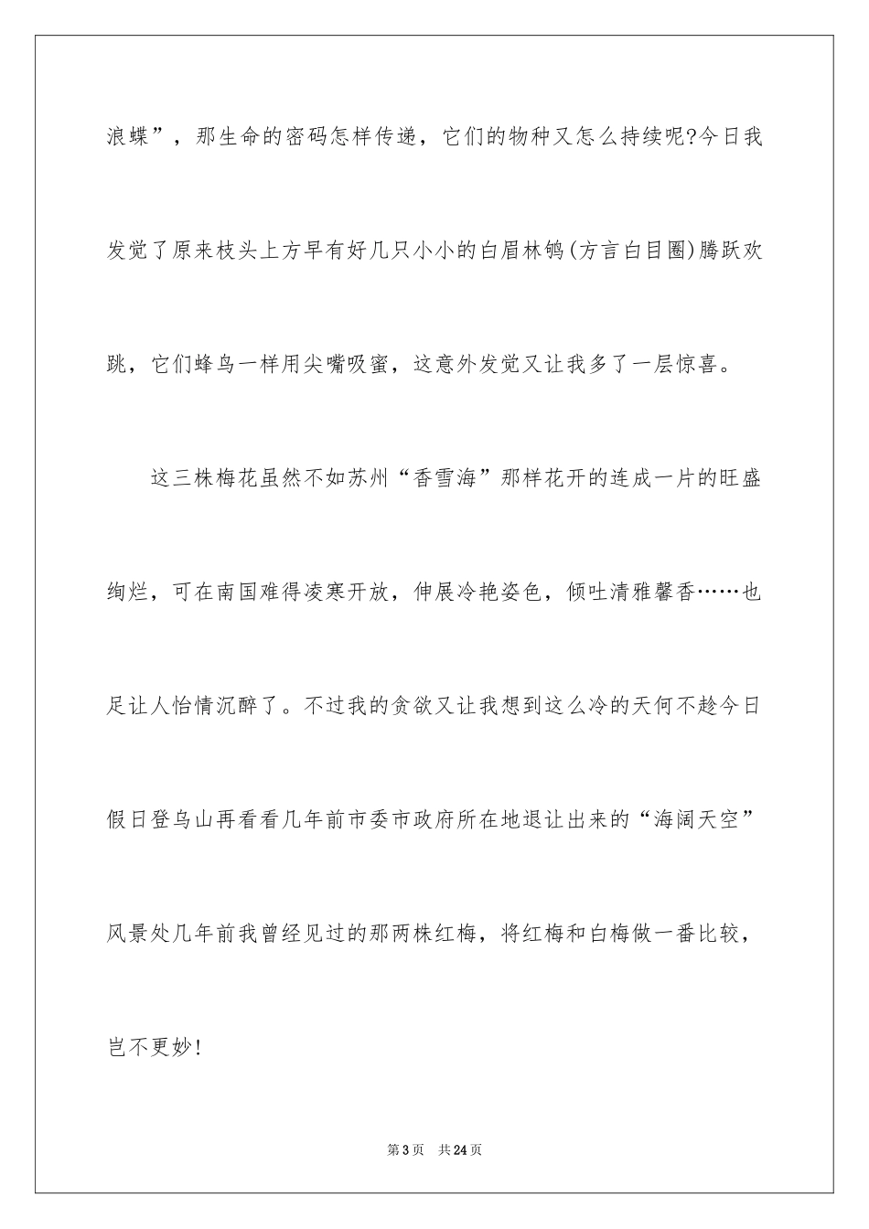 2024元旦的作文1100字_1_第3页