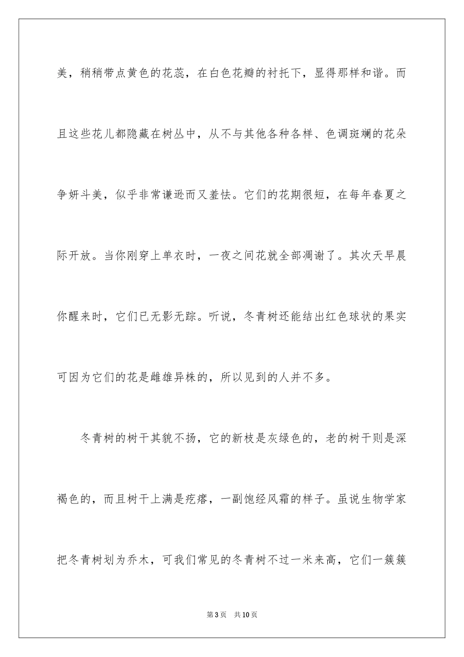 2024写冬青的作文_9_第3页