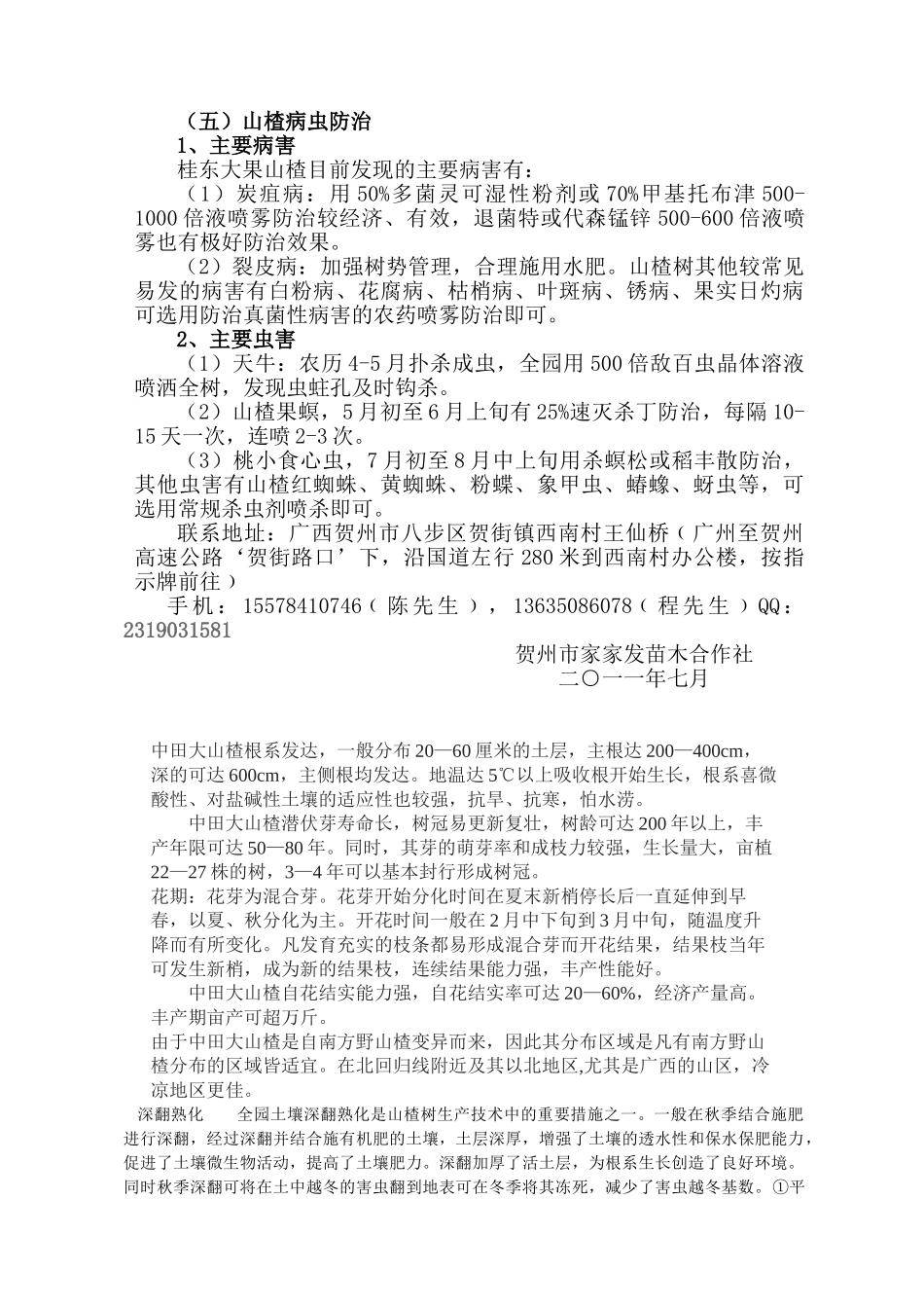 雪梨型大果山楂_第3页