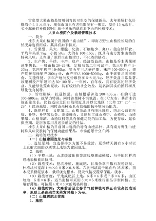 雪梨型大果山楂