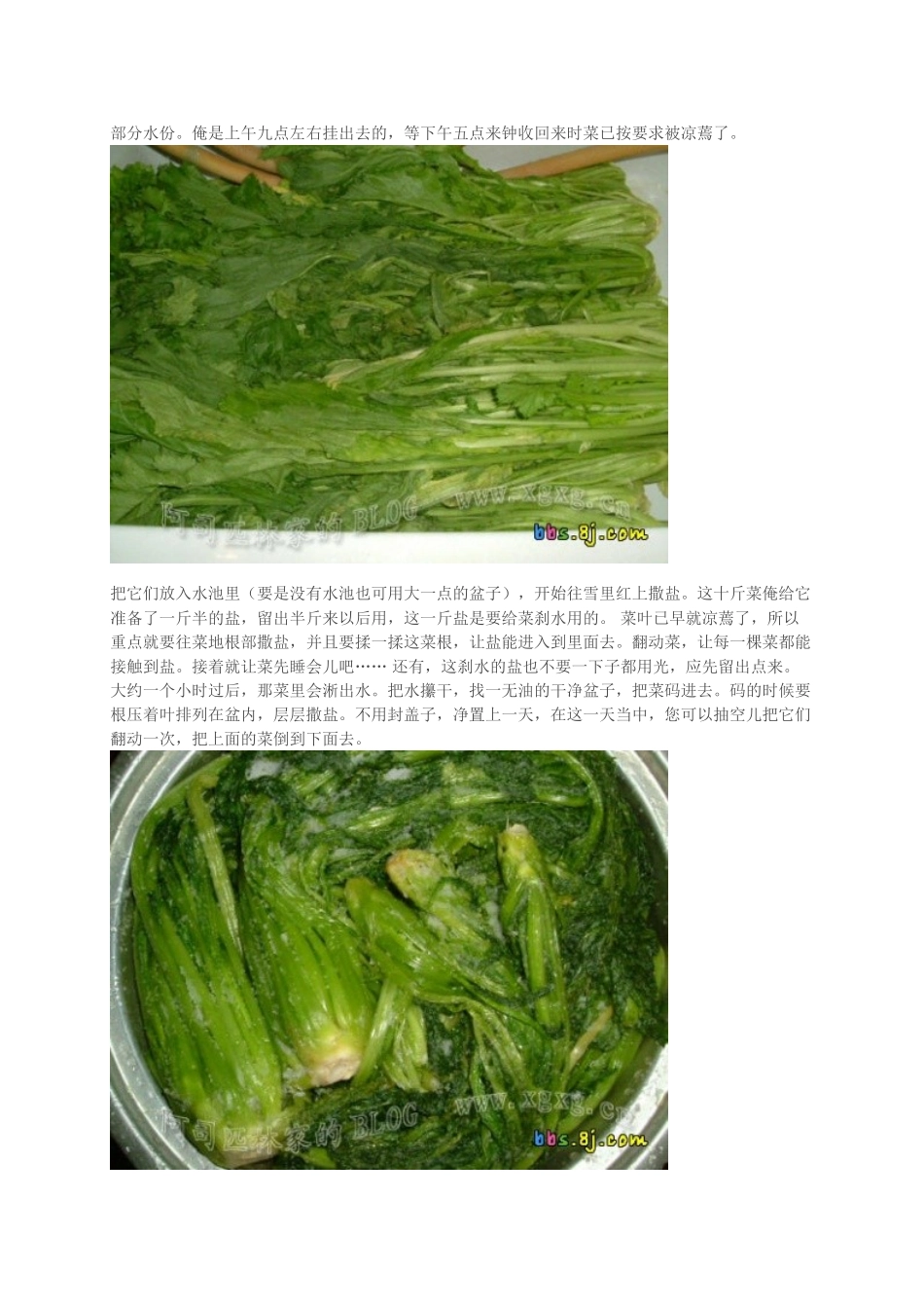 雪里红的腌制方法_第2页