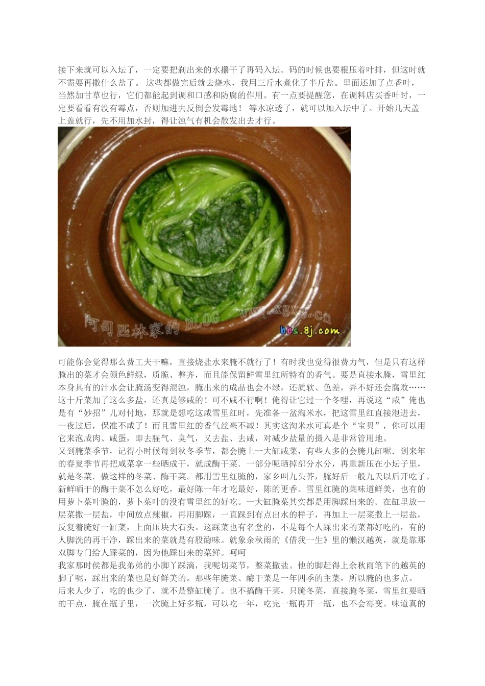 雪里红的腌制方法_第3页