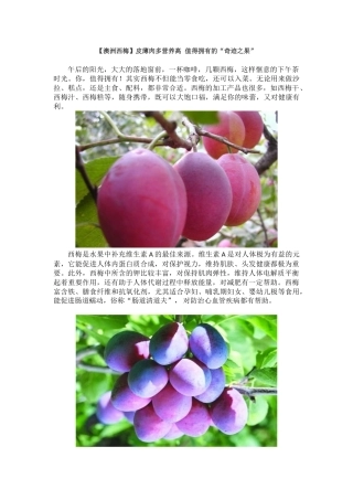 集食惠产品推荐：[澳洲西梅]皮薄肉多营养高  值得拥有的“奇迹之果”