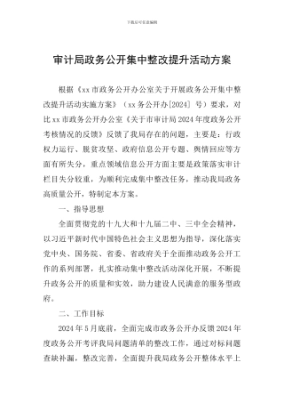审计局政务公开集中整改提升活动方案