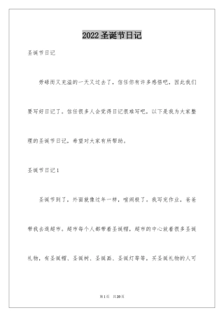 2024圣诞节日记_31