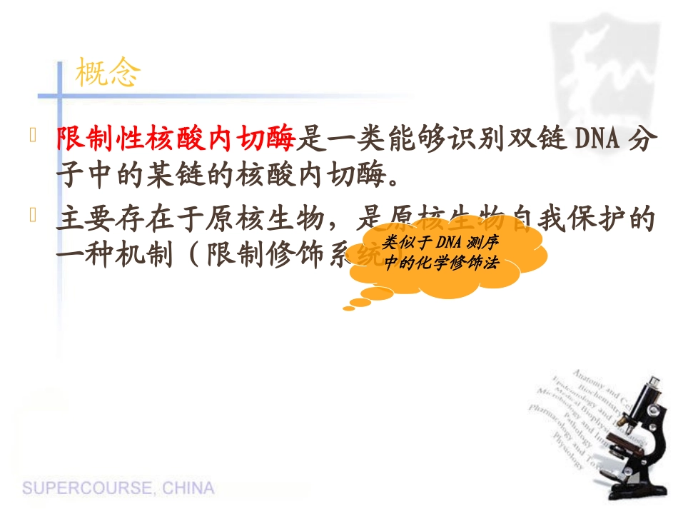 限制性内切酶1_第2页