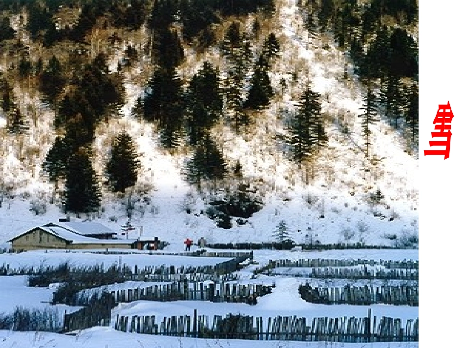 降水和降水的分布8_第3页