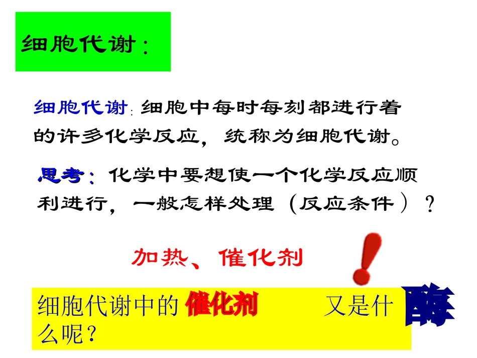 降低化学反应活化能的酶(完整S)_第3页