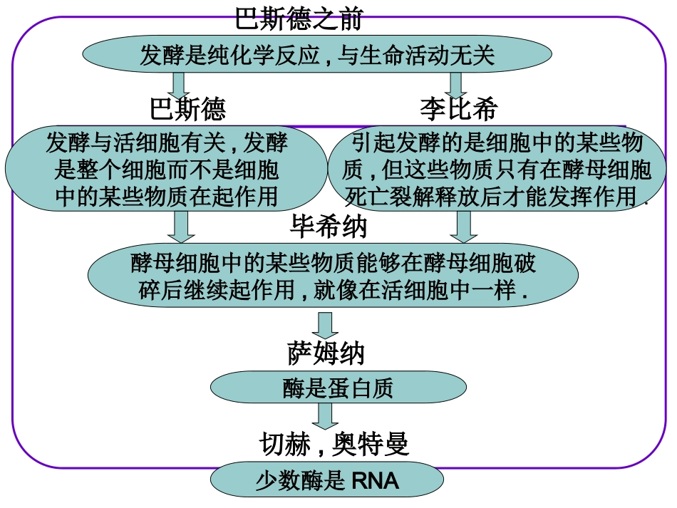 降低化学反应活化能所需的酶(第二课时)_第3页