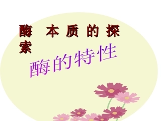 降低化学反应活化能所需的酶(第二课时)
