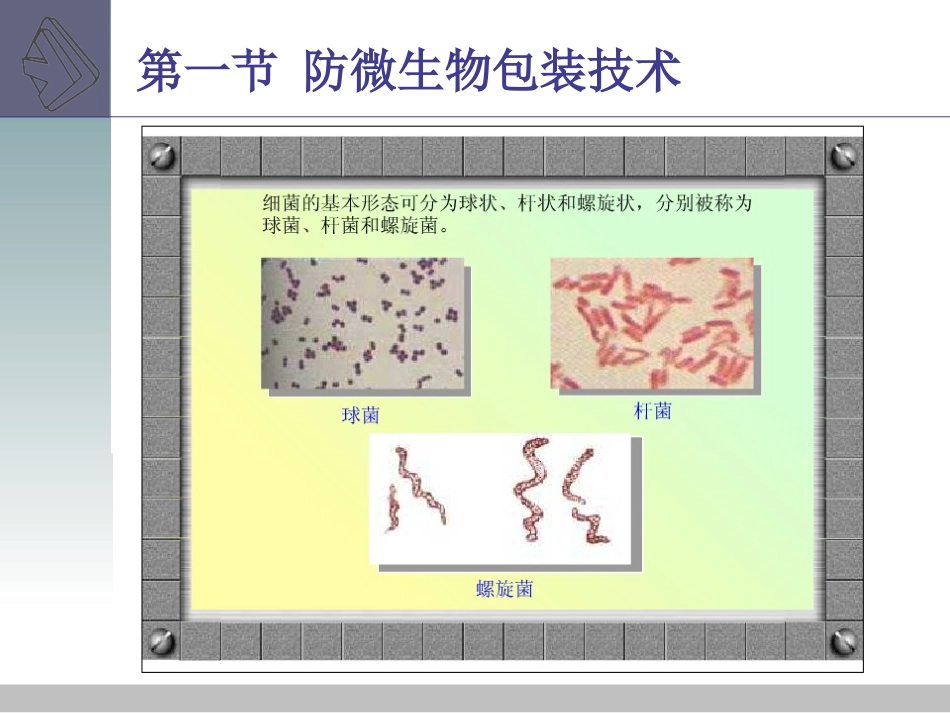 防霉腐包装技术原理_第3页