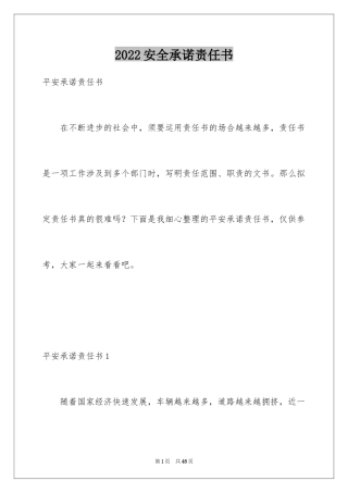 2024安全承诺责任书_7