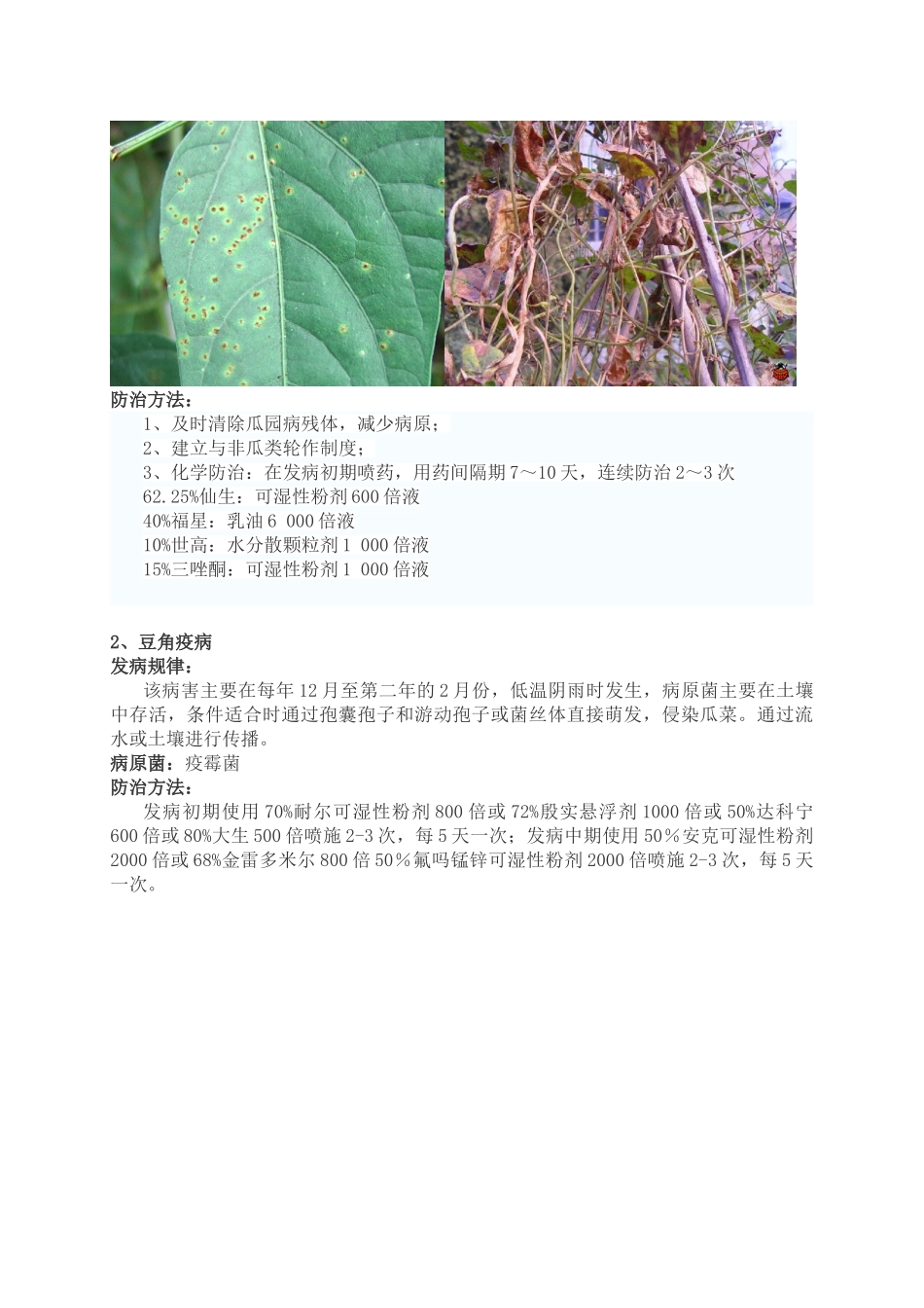 长豆角种植管理技术(整理版)_第3页