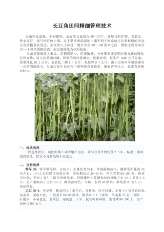 长豆角种植管理技术(整理版)