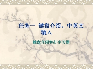 键盘及打字习惯