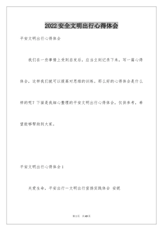 2024安全文明出行心得体会