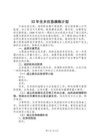 XX年全乡应急演练计划