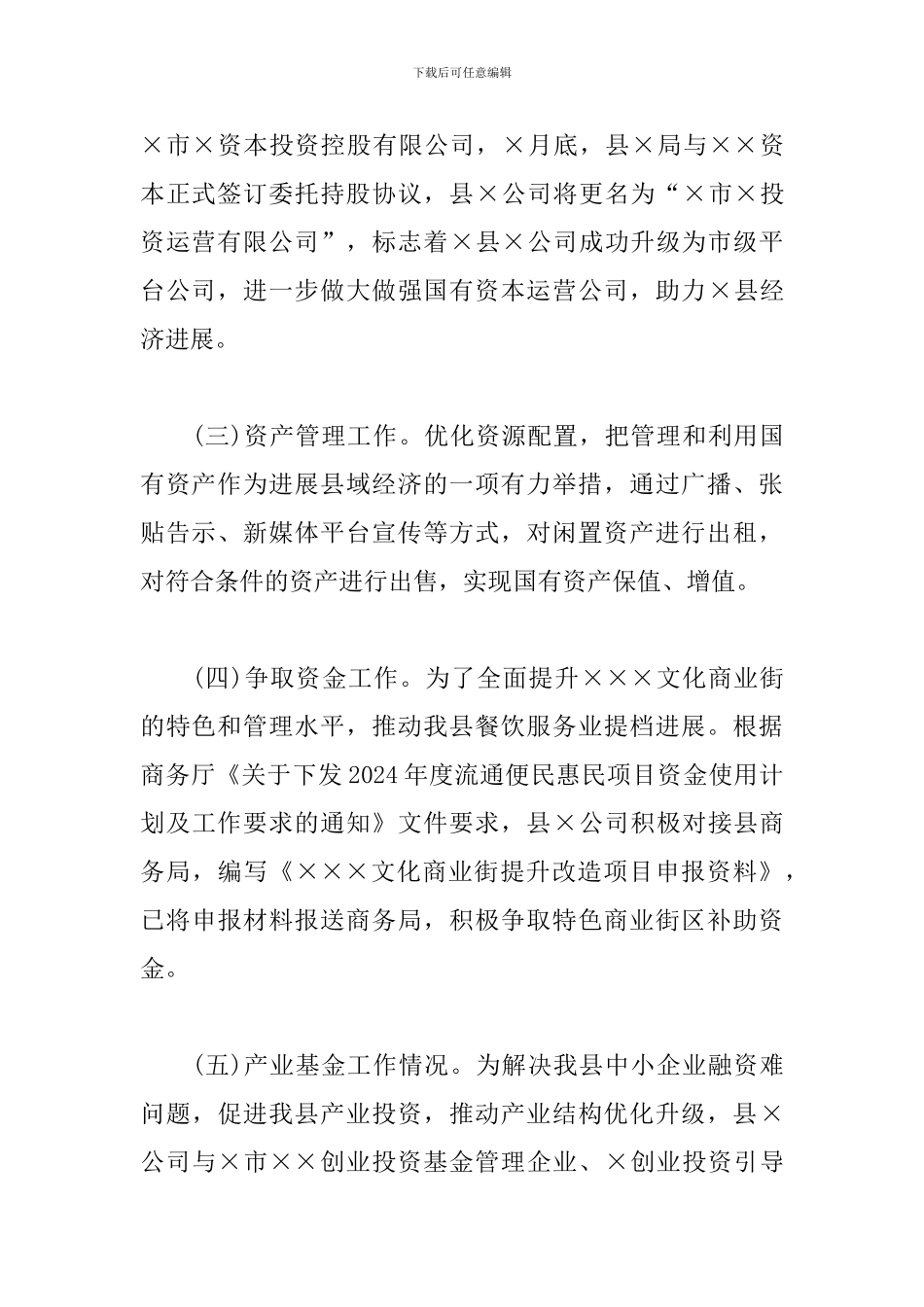 城投公司2024年度工作总结2024年工作计划_第2页