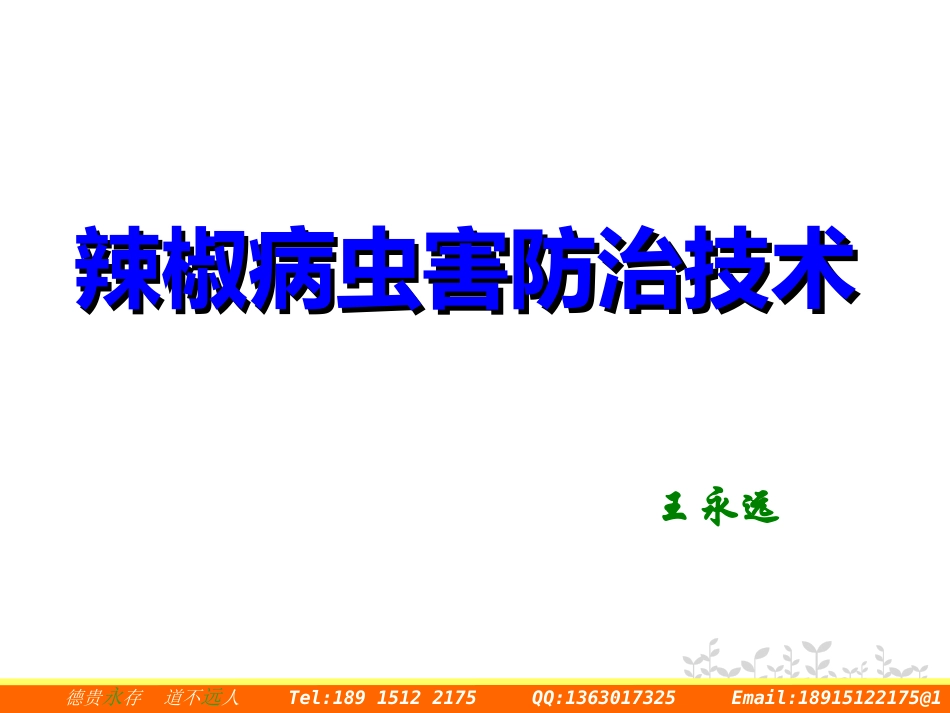 辣椒病虫害防治技术20130317_第2页