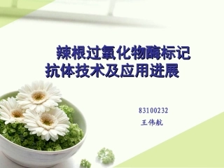 辣根过氧化物酶标记