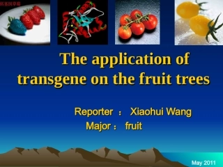 转基因在果树上的应用