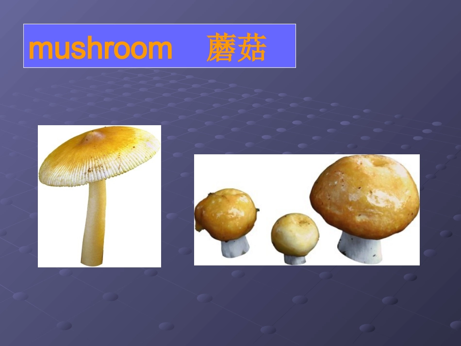 身边的英语-图解英汉水果蔬菜名称_第2页