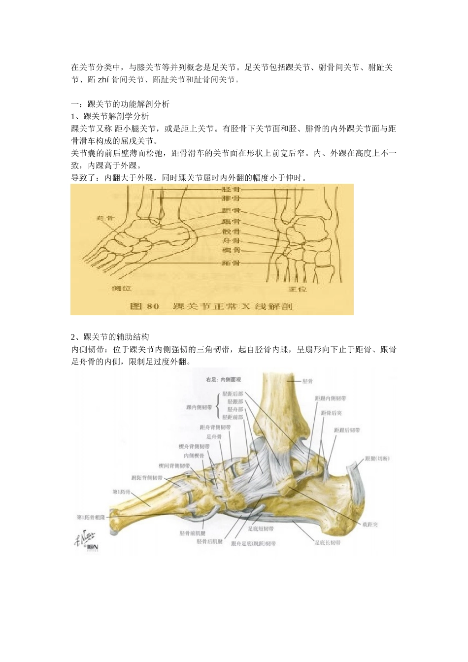 踝关节功能解剖、损伤与恢复_第1页