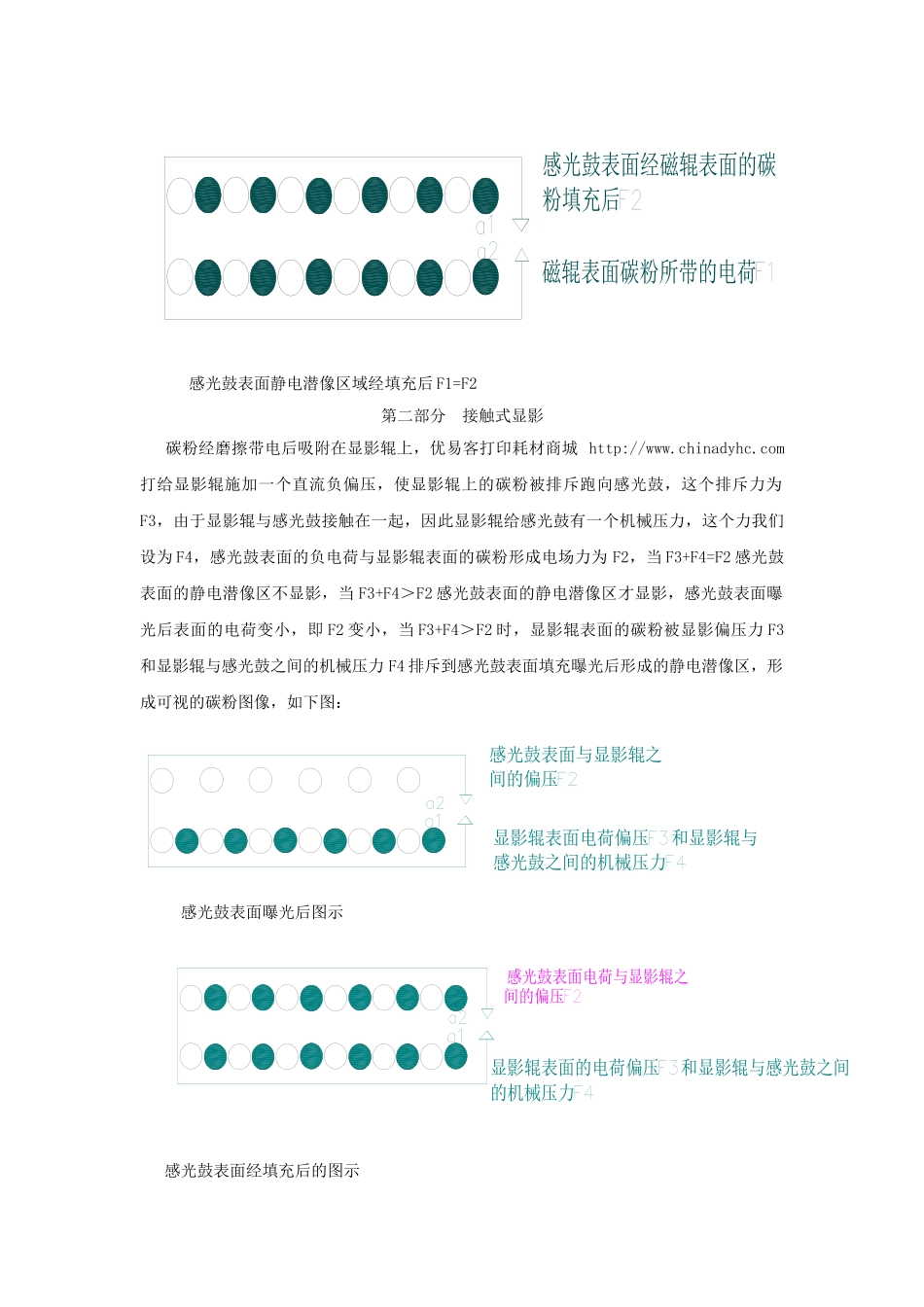 跳动式显影与接触式显影_第3页