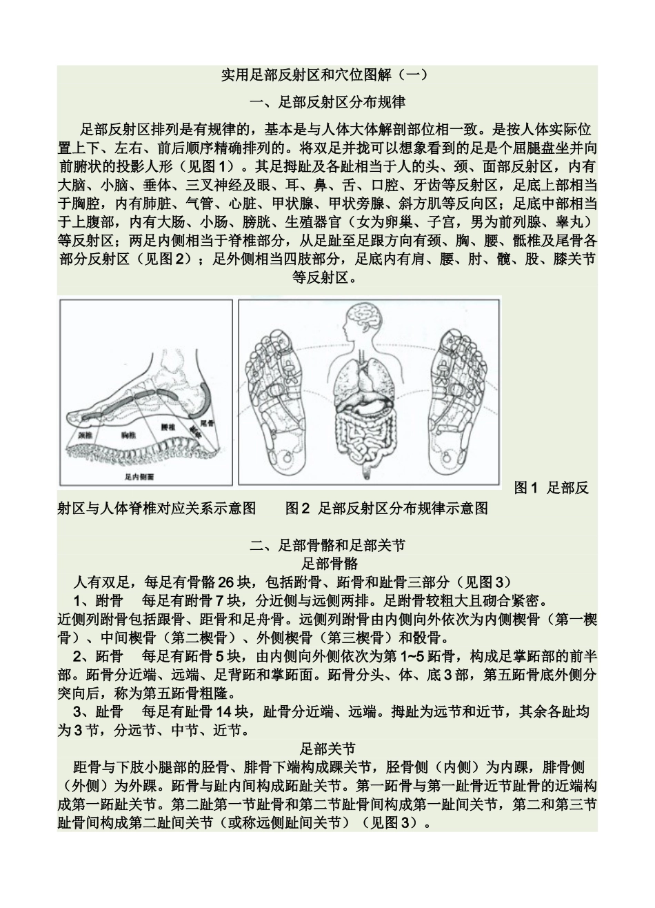 足部反射区图解_第1页