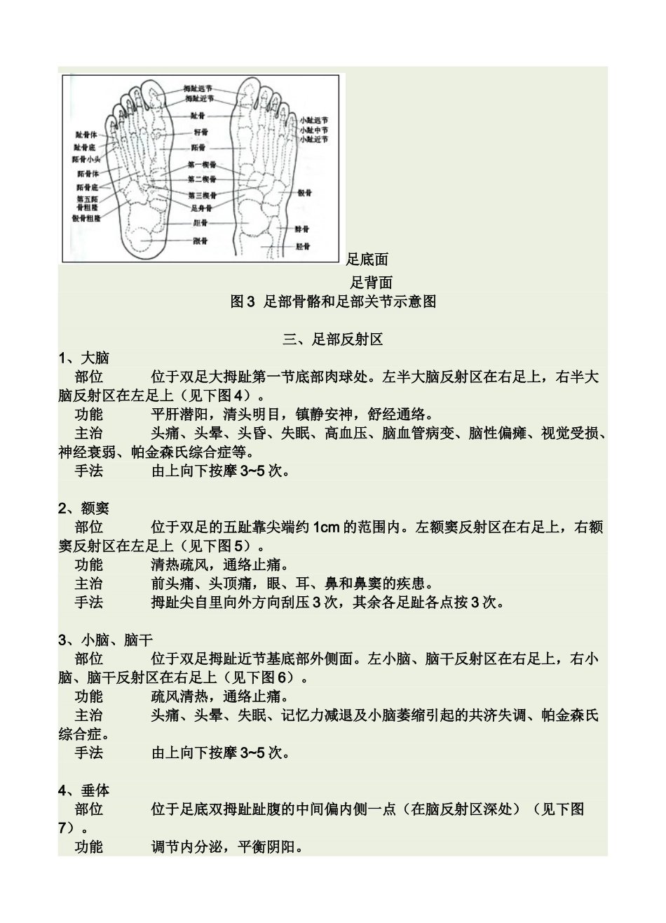足部反射区图解_第2页