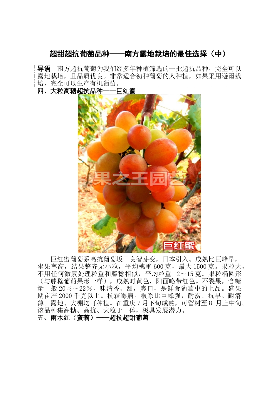 超甜超抗葡萄品种——南方露地栽培的最佳选择(中)_第1页