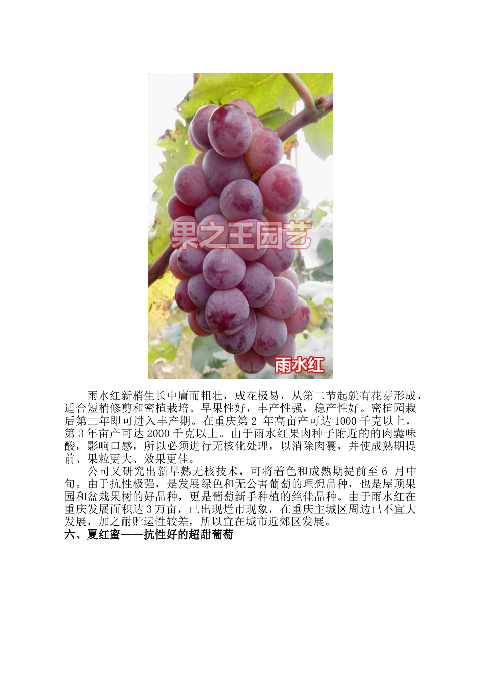 超甜超抗葡萄品种——南方露地栽培的最佳选择(中)_第3页