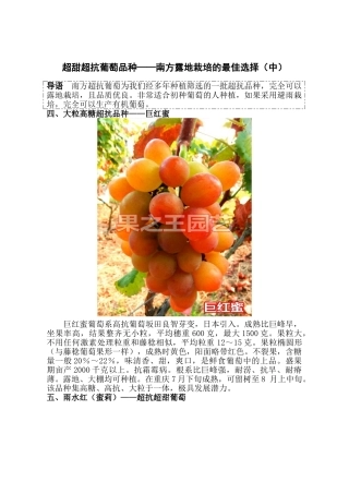 超甜超抗葡萄品种——南方露地栽培的最佳选择(中)