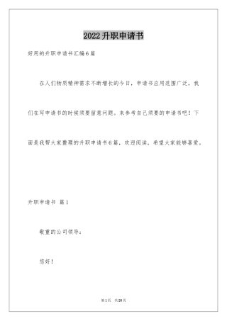 2024升职申请书_17