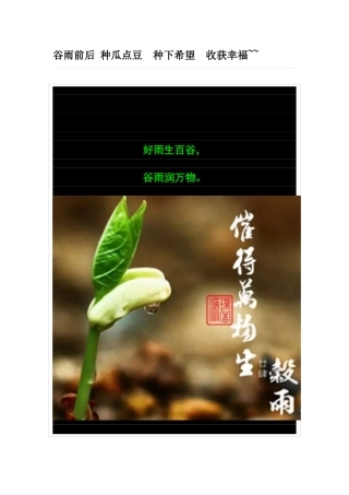 谷雨前后 种瓜点豆  种下希望  收获幸福