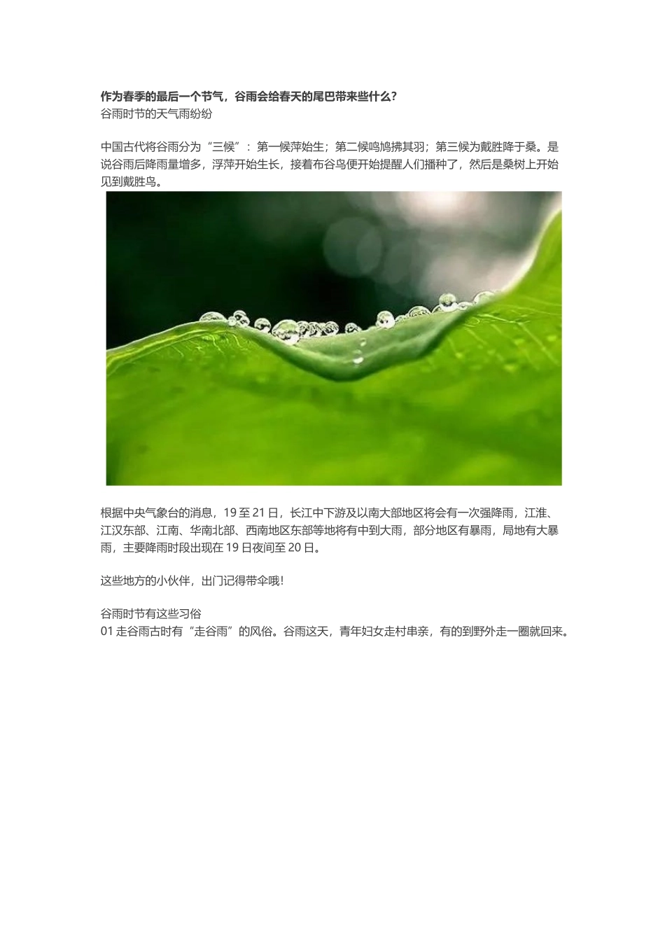 谷雨时节,多雨的人间四月天_第2页