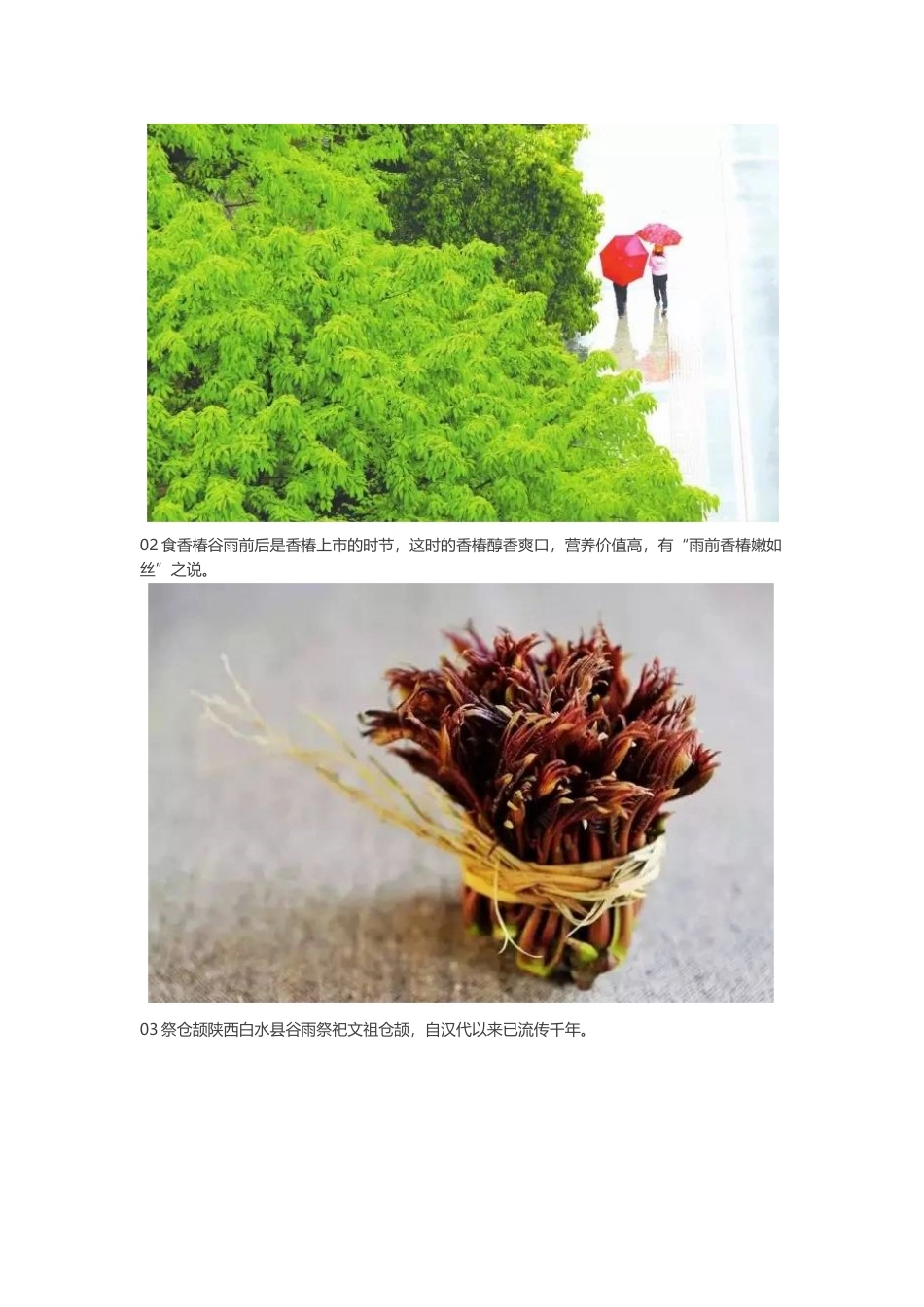 谷雨时节,多雨的人间四月天_第3页