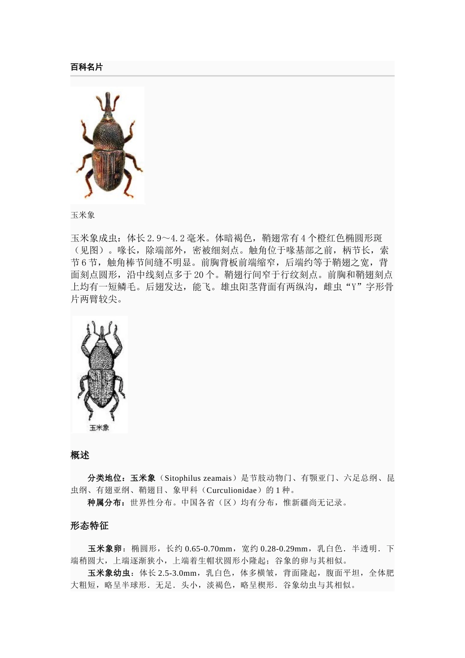 谷物中常见的害虫_第2页