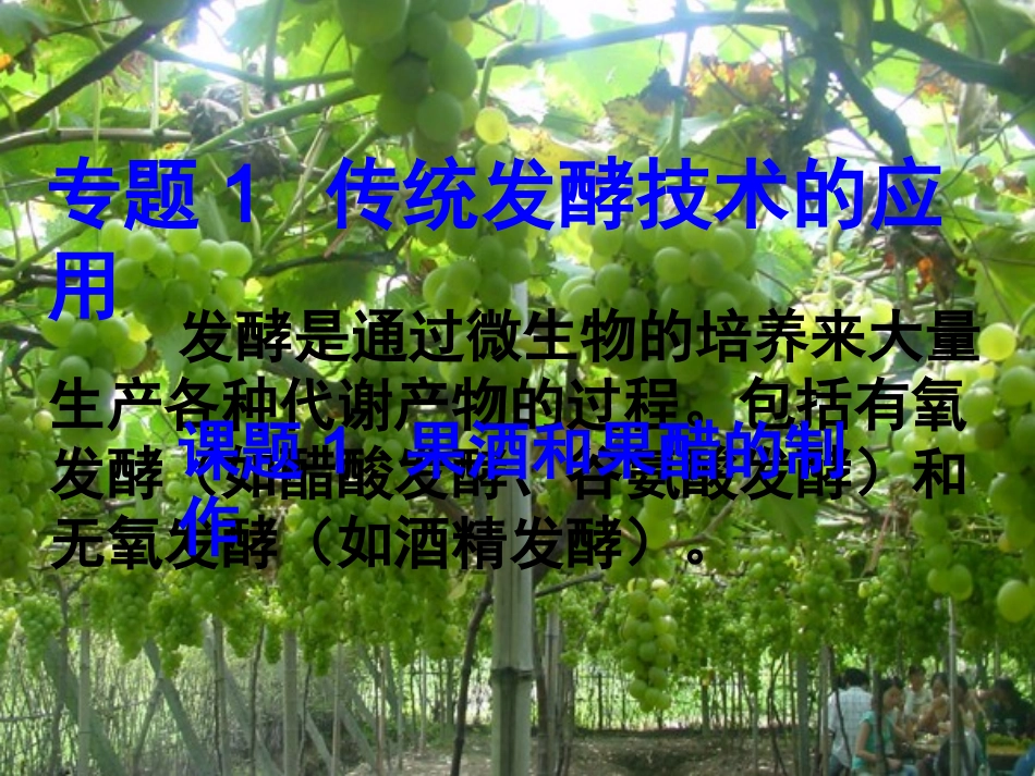 课题1果酒和果醋的制作_第2页