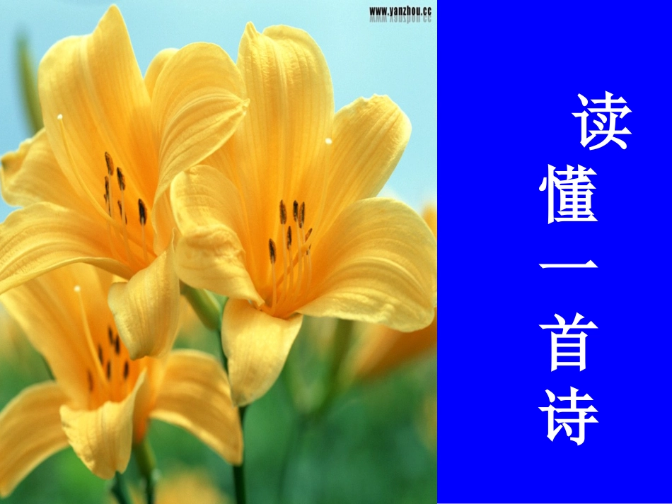 读懂一首诗 课件 ppt_第1页