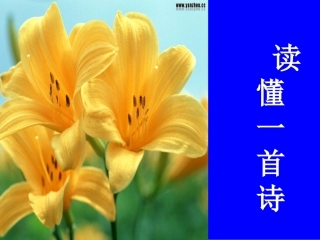 读懂一首诗 课件 ppt