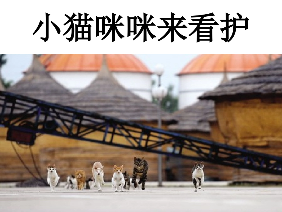 识字《猫抓鼠》_第3页
