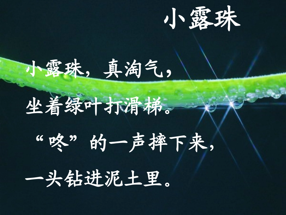 小露珠1-(2)_第1页