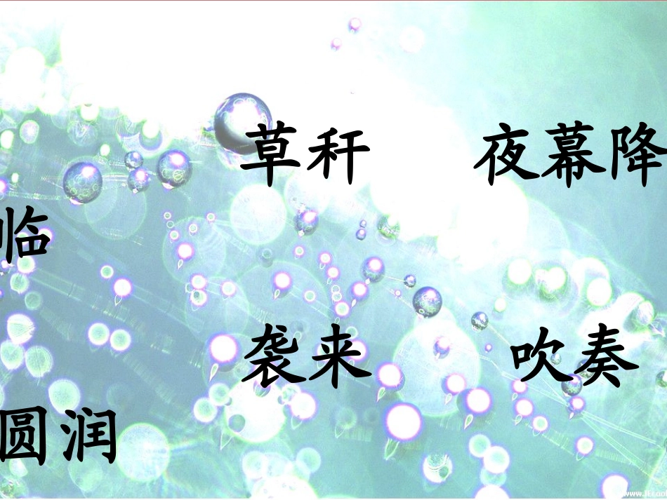 小露珠1-(2)_第3页