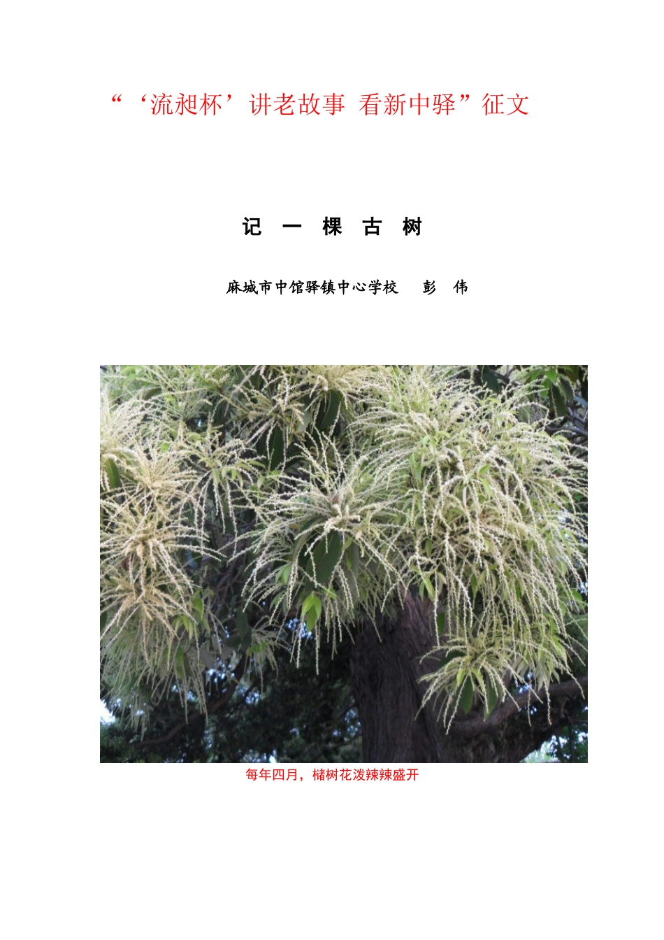 记一棵古树(麻城市中馆驿镇中心学校  彭伟) 2_第1页
