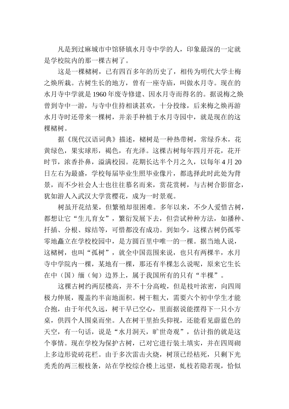 记一棵古树(麻城市中馆驿镇中心学校  彭伟) 2_第3页