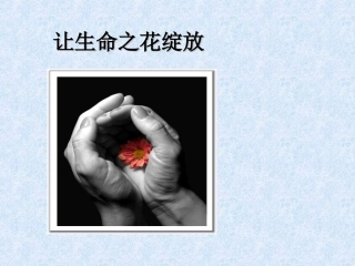 七年级政治上册7.2.3.3让生命之花绽放课件新人教版